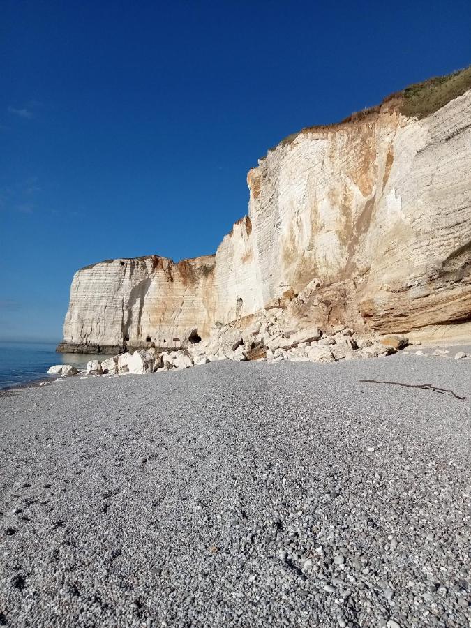 Les Charmes Du Bosquet Parc D'Amour Et Nature Parking Prive Securise Étretat Kültér fotó