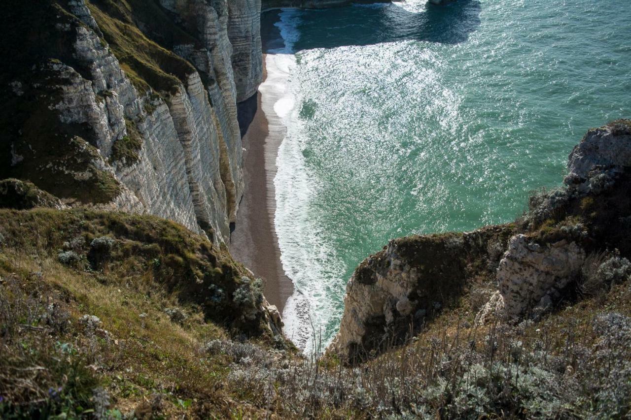 Les Charmes Du Bosquet Parc D'Amour Et Nature Parking Prive Securise Étretat Kültér fotó